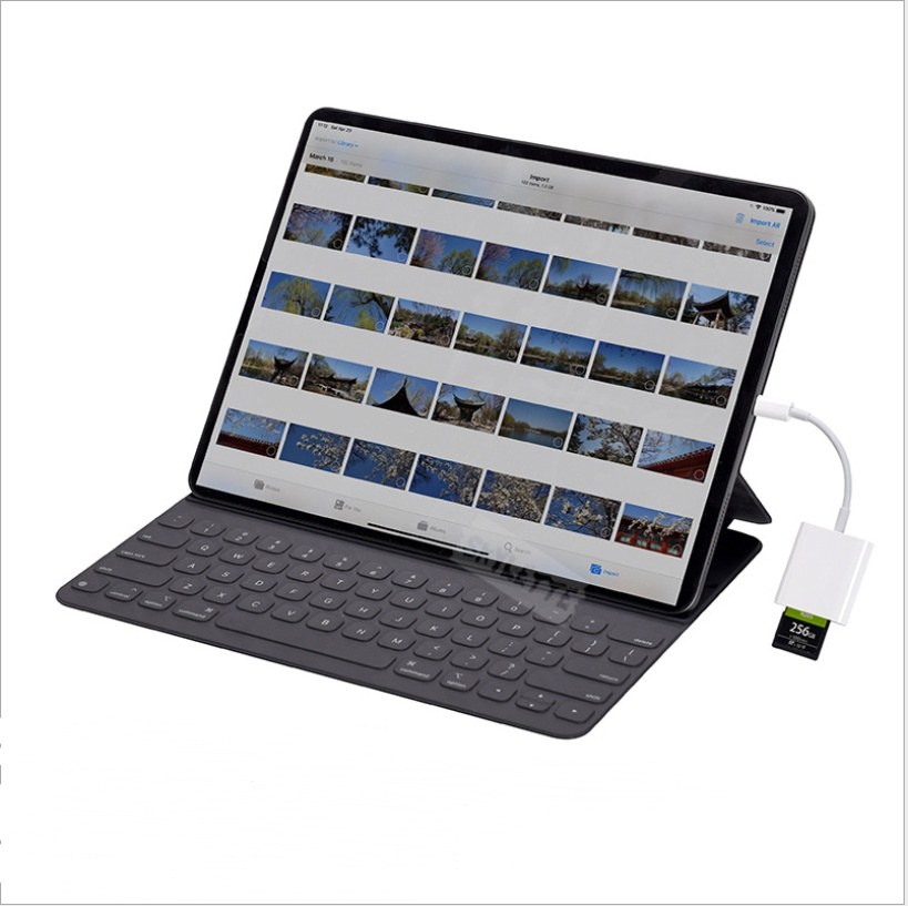 USB-C SD & MicroSD Card Reader - Image 2